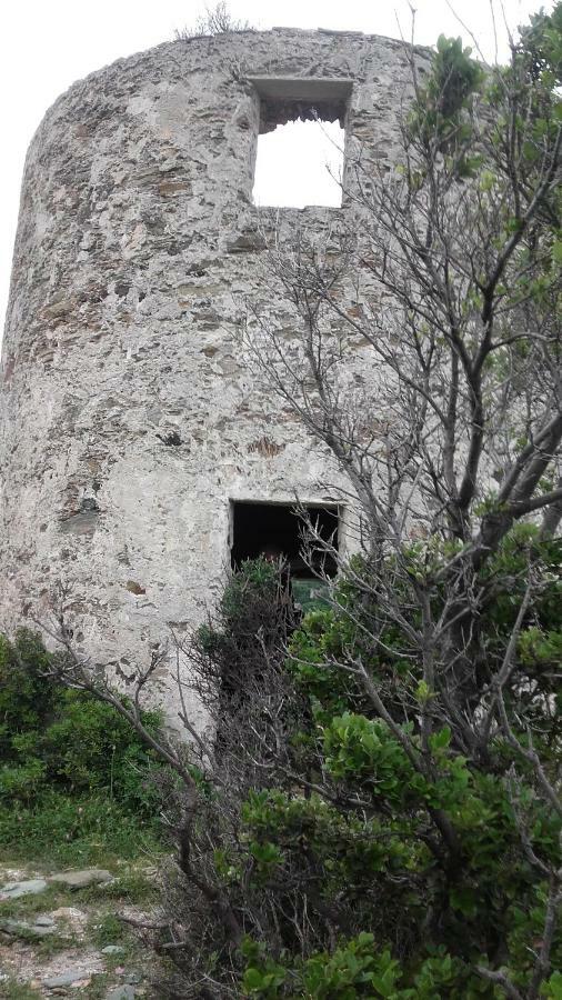 Hotel Casa Di Maria Rogliano Zewnętrze zdjęcie
